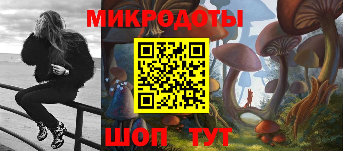 Галлюциногенные грибы Psilocybine cubensis Орёл