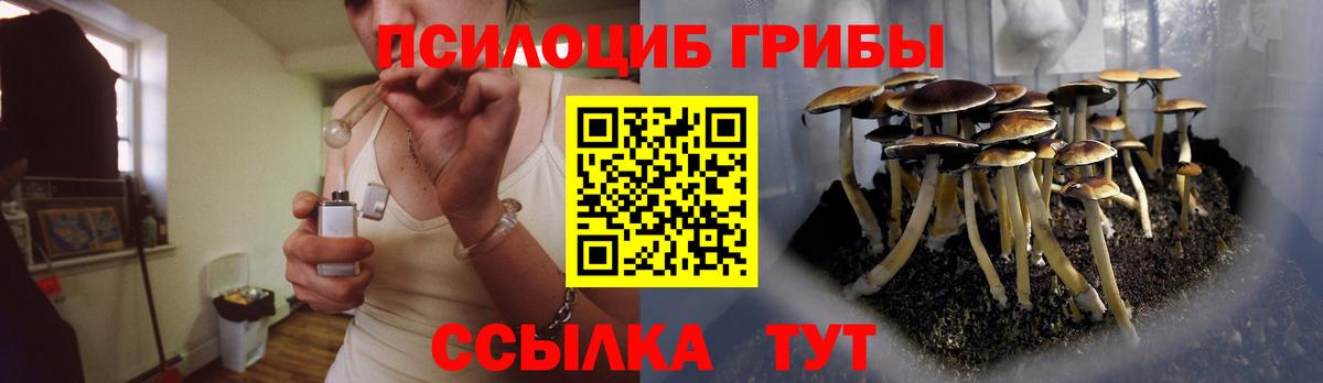 Псилоцибиновые грибы прущие грибы  Вход с VPN  Орёл 